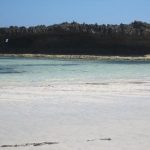 watamu-beach-low-tide.jpg